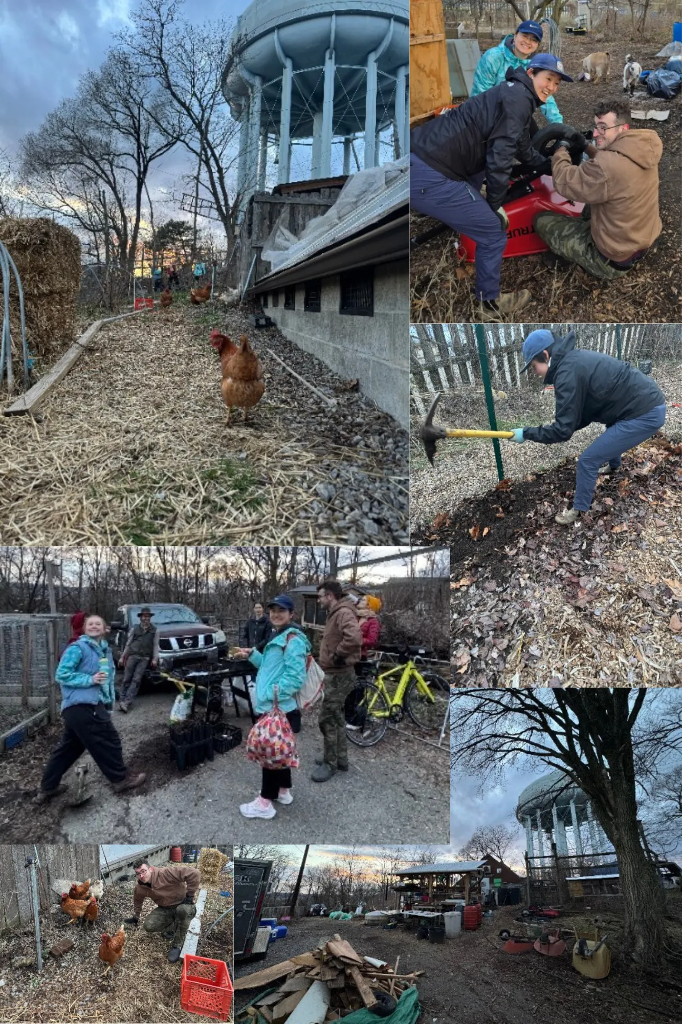 A collage of scenes from Garfield Community Farm: volunteers repairing a wheelbarrow and tilling soil, neighbors chatting by a pickup truck, chickens roaming near a water tower, and a person crouched next to hens.
