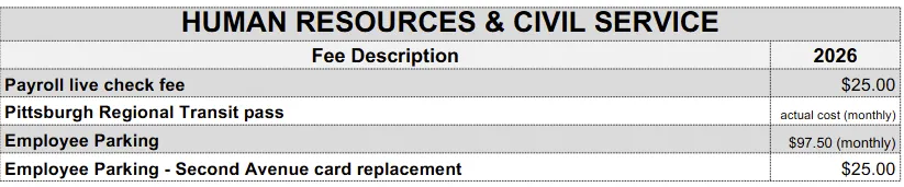 A human resources table from page 361 of the Pittsburgh budget PDF, using shading and dotted black borders.